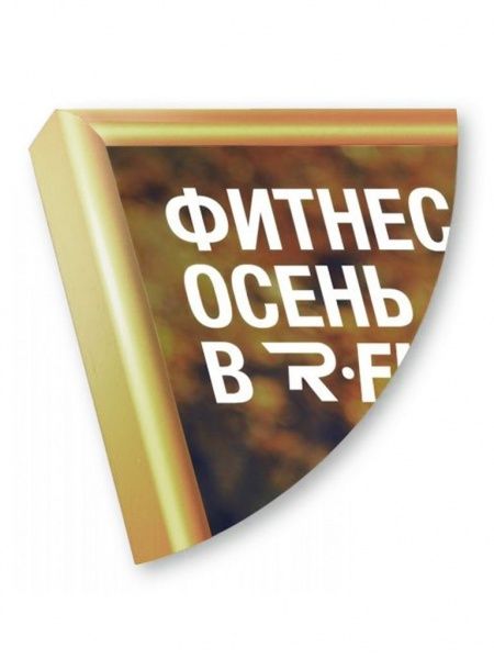 Рамка Нельсон 02, А4,  золото глянец анодир. в Новосибирске - картинка, изображение, фото